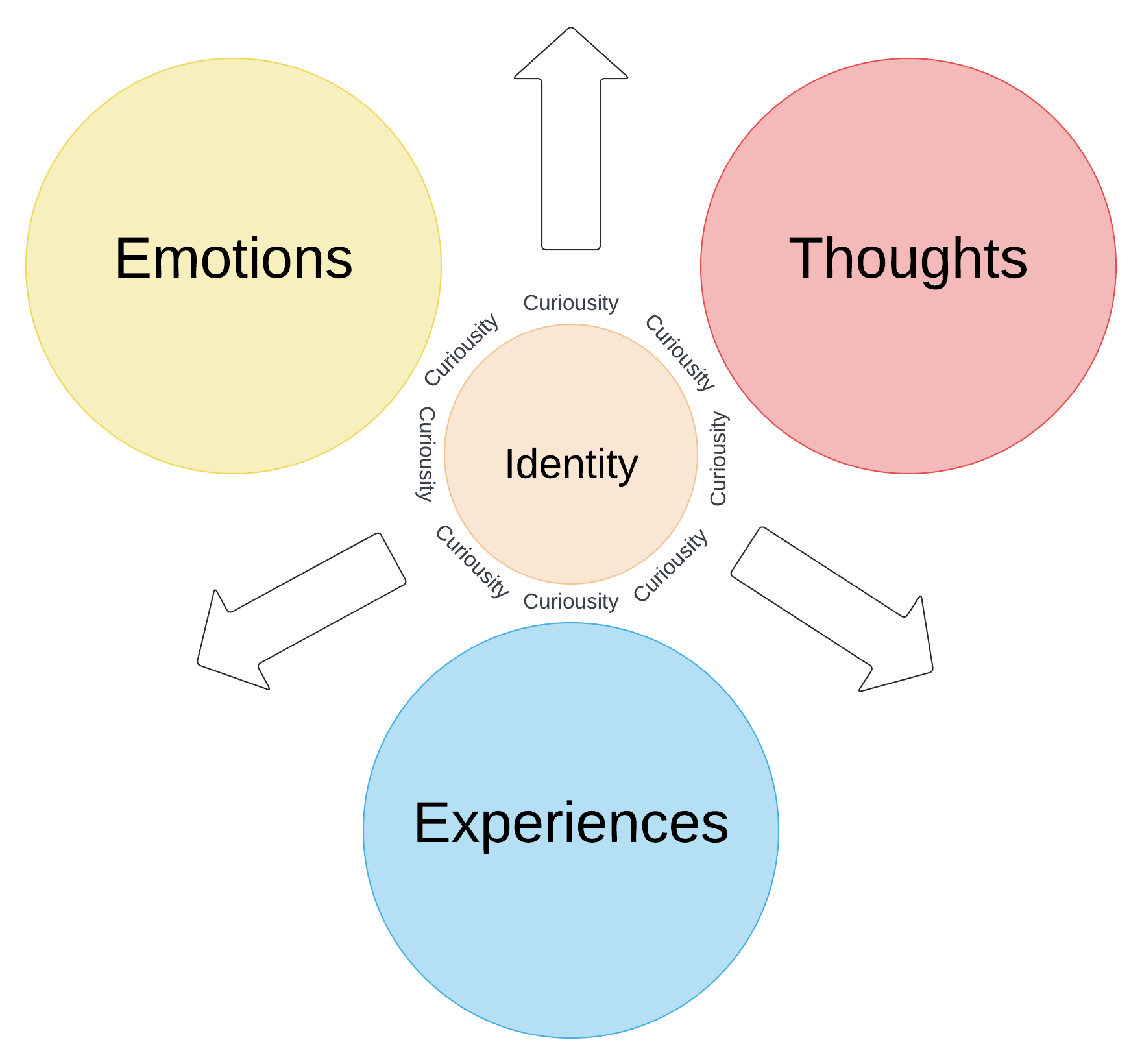 Embracing Curiosity: A Path to Personal Growth – Lucas Whitman